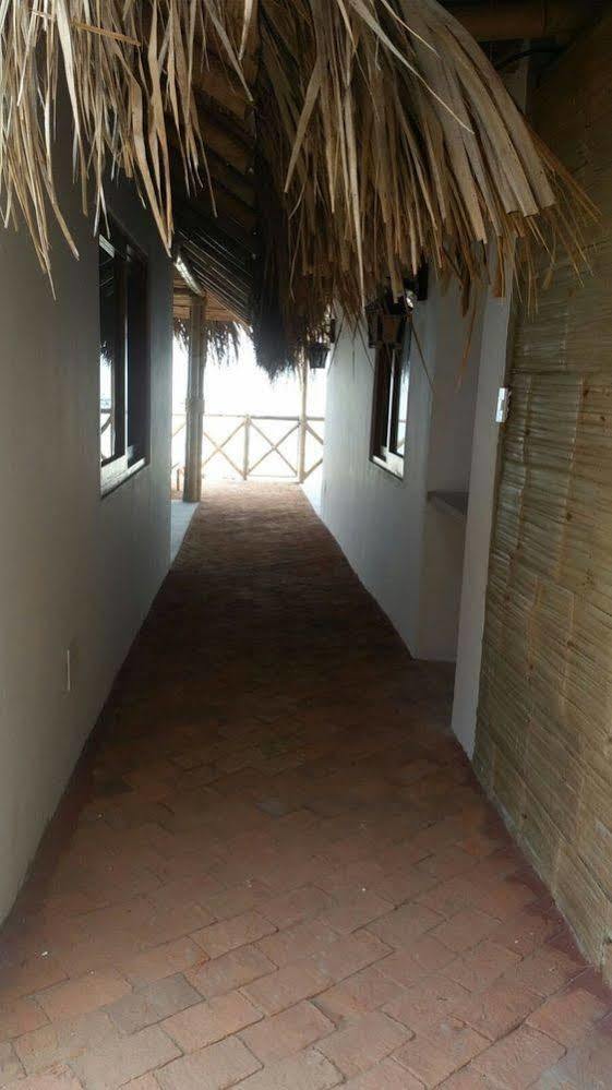 Las Tortuguitas Bungalows Los Organos Luaran gambar